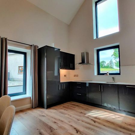 Moynure House Boutique B&B & Separate Two Bedroom Chalet Athlone Exterior foto
