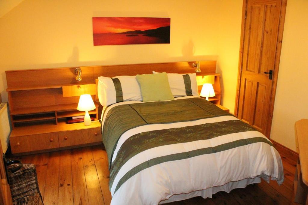 Moynure House Boutique B&B & Separate Two Bedroom Chalet Athlone Exterior foto