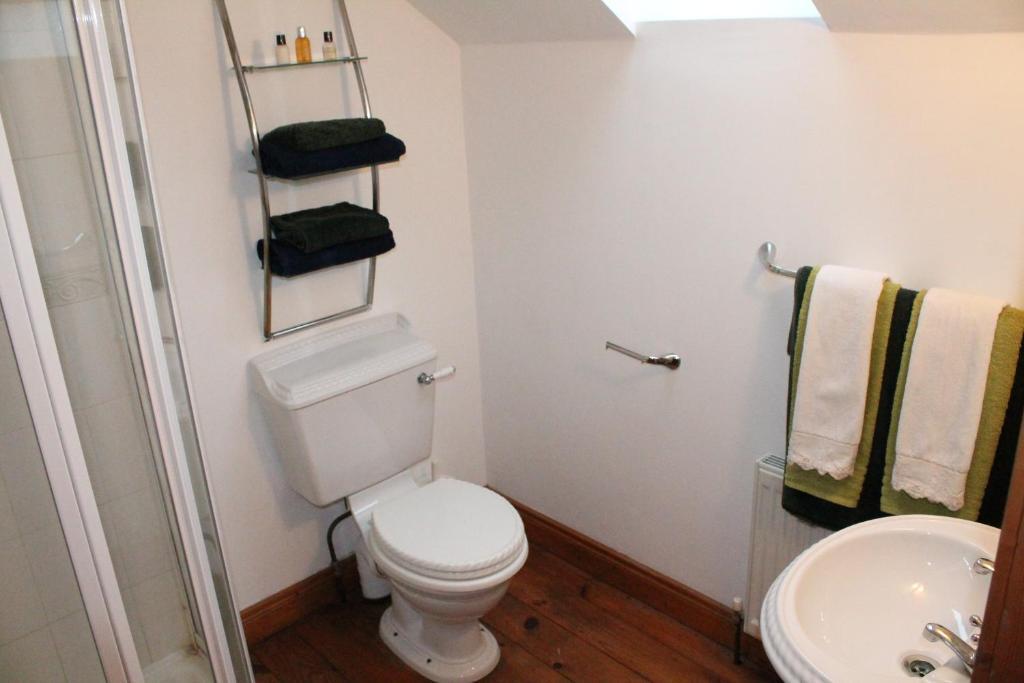 Moynure House Boutique B&B & Separate Two Bedroom Chalet Athlone Habitación foto